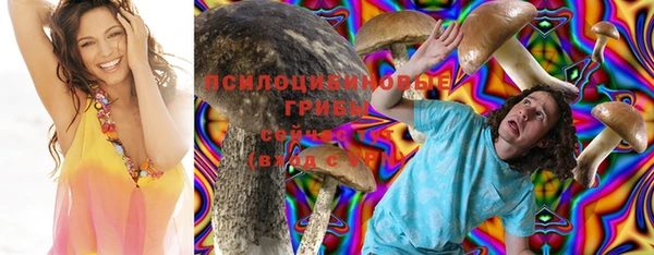 не бодяженный Армянск
