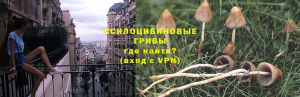 не бодяженный Армянск