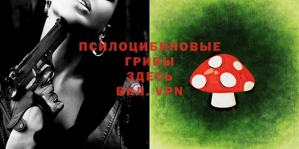 дживик Аркадак