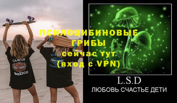 кокс Арсеньев