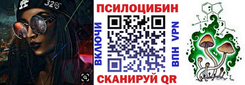 наркота  Спас-Клепики  Галлюциногенные грибы Psilocybe 